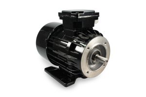 FMP55 - Elektromotor 0,55 kW 380 V